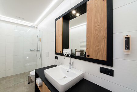 Stylish bathroom with large mirror, sink and walk-in rain shower